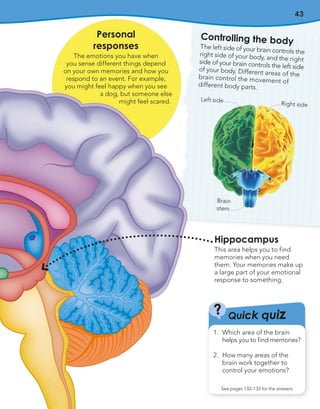 43
Hippocampus
This area helps you to find
memories when you need
them. Your memories make up
a large part of your emotional
response to something.
Quick quiz
?
See pages 132–133 for the answers
1. Which area of the brain
helps you to find memories?
2. How many areas of the
brain work together to
control your emotions?
Controlling the body
The left side of your brain controls the
right side of your body, and the right
side of your brain controls the left side
of your body. Different areas of the
brain control the movement of
different body parts.
Left side
Brain
stem
Right side
Personal
responses
The emotions you have when
you sense different things depend
on your own memories and how you
respond to an event. For example,
you might feel happy when you see
a dog, but someone else
might feel scared.
 