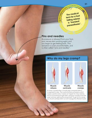 51
Why do my legs cramp?
A cramp is caused when a muscle stays contracted when it
is supposed to relax. The muscle shortens and spasms, which
causes a painful cramp. Cramps can happen for many reasons,
such as not drinking enough water, using your muscles more than
usual, and even wearing the wrong shoes! To get rid of a cramp,
you should carefully stretch out and massage the affected muscle.
The medical
term for a foot
falling asleep
is “transient
paraesthesia”.
Muscle
relaxes
Muscle
contracts
Muscle
cramps
Pins and needles
As pressure is released from your foot,
your nerves start working again and
you begin to get feeling back. This
sensation is a bit uncomfortable, and
is often called “pins and needles”.
 