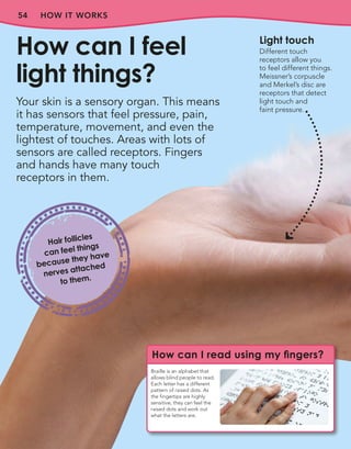 54 HOW IT WORKS
Your skin is a sensory organ. This means
it has sensors that feel pressure, pain,
temperature, movement, and even the
lightest of touches. Areas with lots of
sensors are called receptors. Fingers
and hands have many touch
receptors in them.
How can I feel
light things?
Light touch
Different touch
receptors allow you
to feel different things.
Meissner’s corpuscle
and Merkel’s disc are
receptors that detect
light touch and
faint pressure.
How can I read using my fingers?
Braille is an alphabet that
allows blind people to read.
Each letter has a different
pattern of raised dots. As
the fingertips are highly
sensitive, they can feel the
raised dots and work out
what the letters are.
Hair follicles
can feel things
because they have
nerves attached
to them.
 