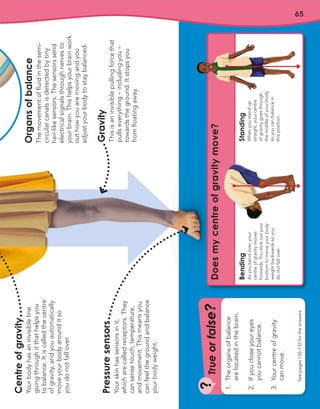 65
Pressure
sensors
Your
skin
has
sensors
in
it,
which
are
called
receptors.
They
can
sense
touch,
temperature,
and
movement.
This
means
you
can
feel
the
ground
and
balance
your
body
weight.
Centre
of
gravity
Your
body
has
an
invisible
line
going
through
it
that
helps
you
to
balance.
It
is
called
the
centre
of
gravity,
and
you
automatically
move
your
body
around
it
so
you
do
not
fall
over.
Organs
of
balance
The
movement
of
fluid
in
the
semi-
circular
canals
is
detected
by
tiny
hair-like
sensors.
The
sensors
send
electrical
signals
through
nerves
to
your
brain.
This
helps
your
brain
work
out
how
you
are
moving
and
you
adjust
your
body
to
stay
balanced.
Gravity
This
is
an
invisible
pulling
force
that
pulls
everything
–
including
you
–
towards
the
ground.
It
stops
you
from
floating
away.
T
ru
e
o
r
f
a
l
s
e
?
?
See
pages
132–133
for
the
answers
1.
The
organs
of
balance
are
located
in
the
brain.
2.
If
you
close
your
eyes
you
cannot
balance.
3.
Your
centre
of
gravity
can
move.
Standing
When
you
stand
up
straight,
your
centre
of
gravity
goes
through
the
middle
of
your
body
so
you
can
balance
in
this
position.
Bending
As
you
bend
over,
your
centre
of
gravity
moves
forwards.
You
stick
out
your
bottom
to
move
your
body
weight
backwards
so
you
do
not
fall
over.
Does
my
centre
of
gravity
move?
 