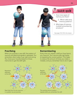 71
Practising
When you practise a new skill, the pattern of
neurons and electrical signals is repeated. You
remember what makes it go right and wrong.
You move your muscles based on those
memories to get the skill right.
Remembering
Every time you repeat a skill you have learnt,
you improve. Your neurons also get better
at repeating the correct pattern. This helps
to reduce the amount of times you make a
mistake, and you remember how to do it right.
Repeated
attempts
at the skill
New links form to join neurons
in a pattern as you practise.
The existing neuron pattern
repeats when you remember the skill.
Regular
attempts
at the skill
1. How many types of
memory are there?
2. Which cells store
memory patterns?
3. What type of memory
involves remembering
emotions?
Quick quiz
?
See pages 132–133 for the answers
 