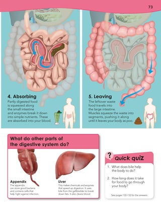 73
Quick quiz
?
See pages 132–133 for the answers
1. What does bile help
the body to do?
2. How long does it take
for food to go through
your body?
5. Leaving
The leftover waste
food travels into
the large intestine.
Muscles squeeze the waste into
segments, pushing it along
until it leaves your body as poo.
4. Absorbing
Partly digested food
is squeezed along
the small intestine
and enzymes break it down
into simple nutrients. These
are absorbed into your blood.
What do other parts of
the digestive system do?
Appendix
The appendix
can store good bacteria
and contains cells that
help fight against infection.
Liver
This makes chemicals and enzymes
that speed up digestion. It uses
bile from the gallbladder to break
down fats. It also cleans blood.
 