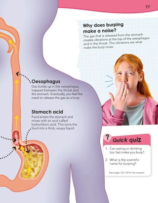 77
Oesophagus
Gas builds up in the oesophagus,
trapped between the throat and
the stomach. Eventually, you feel the
need to release the gas as a burp.
Stomach acid
Food enters the stomach and
mixes with an acid called
hydrochloric acid. This turns the
food into a thick, soupy liquid.
Quick quiz
?
See pages 132–133 for the answers
1. Can eating or drinking
too fast make you burp?
2. What is the scientific
name for burping?
Why does burping
make a noise?
The gas that is released from the stomach
creates vibrations at the top of the oesophagus
and in the throat. The vibrations are what
make the burp noise.
 