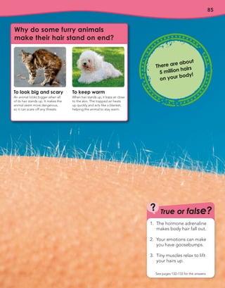 85
There are about
5 million hairs
on your body!
True or false?
?
See pages 132–133 for the answers
1. The hormone adrenaline
makes body hair fall out.
2. Your emotions can make
you have goosebumps.
3. Tiny muscles relax to lift
your hairs up.
To look big and scary
An animal looks bigger when all
of its hair stands up. It makes the
animal seem more dangerous,
so it can scare off any threats.
To keep warm
When hair stands up, it traps air close
to the skin. The trapped air heats
up quickly and acts like a blanket,
helping the animal to stay warm.
Why do some furry animals
make their hair stand on end?
 