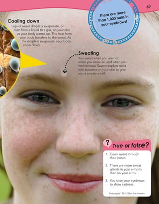 87
Sweating
You sweat when you are hot,
when you exercise, and when you
feel nervous. Sweat droplets react
with bacteria on your skin to give
you a sweaty smell.
True or false?
?
See pages 132–133 for the answers
1. Cows sweat through
their noses.
2. There are more sweat
glands in your armpits
than on your arms.
3. You raise your eyebrows
to show sadness.
Cooling down
Liquid sweat droplets evaporate, or
turn from a liquid to a gas, on your skin
as your body warms up. The heat from
your body transfers to the sweat. As
the droplets evaporate, your body
cools down.
There are more
than 1,000 hairs in
your eyebrows!
 