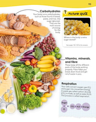 93
Carbohydrates
Your body turns carbohydrates,
such as those found in bread,
pasta, and rice, into
sugar (glucose).
They are the
main source
of energy
for the
body.
Vitamins, minerals,
and fibre
These keep all the different
parts of the body working
properly. Fibre helps you
break down food and get
rid of waste in poo.
Where in the body is extra
sugar stored?
?
See pages 132–133 for the answers
Picture quiz
Respiration
Your cells convert oxygen gas (O2
)
and sugar into movement energy.
A waste gas called carbon dioxide
(CO2
) is made, as well as water (H2
O).
This process is called respiration.
O2
Sugar
CO2 H2
O Energy
 