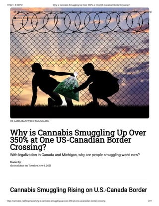 11/9/21, 8:39 PM Why is Cannabis Smuggling Up Over 350% at One US-Canadian Border Crossing?
https://cannabis.net/blog/news/why-is-cannabis-smuggling-up-over-350-at-one-uscanadian-border-crossing 2/11
US CANADIAN WEED SMUGGLING
Why is Cannabis Smuggling Up Over
350% at One US-Canadian Border
Crossing?
With legalization in Canada and Michigan, why are people smuggling weed now?
Posted by:

christalcann on Tuesday Nov 9, 2021
Cannabis Smuggling Rising on U.S.-Canada Border
 Edit Article (https://cannabis.net/mycannabis/c-blog-entry/update/why-is-cannabis-smuggling-up-over-350-at-one-uscanadian-border-crossing)
 Article List (https://cannabis.net/mycannabis/c-blog)
 