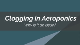 Why is it an issue?
Clogging in Aeroponics
 
