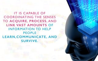 Why is Computer Science Education Important ? | PDF