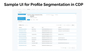 Sample UI for Proﬁle Segmentation in CDP
 