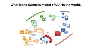 What is the business model of CDP in the World?
 