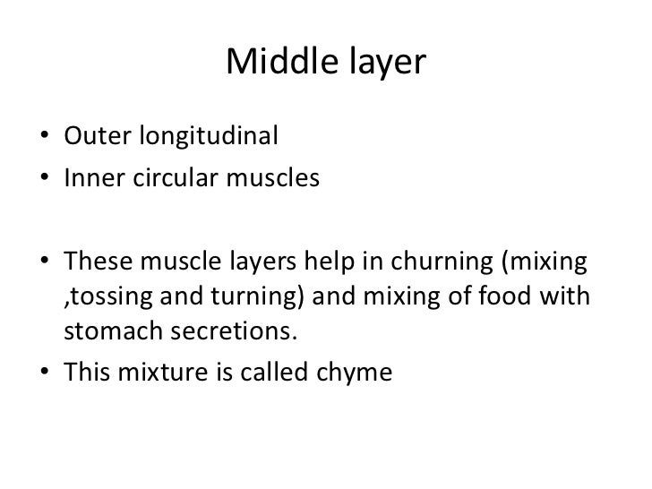 The Process Of Getting Food Into The Mouth Is Called The Process Of Getting Food Into The Mouth Is Called