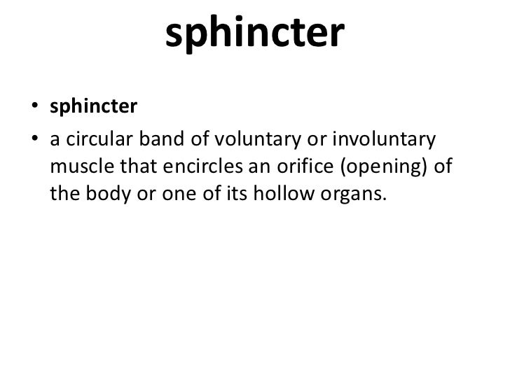 Why is digestion necessary