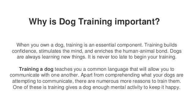 Why is Dog Training important?
When you own a dog, training is an essential component. Training builds
confidence, stimulates the mind, and enriches the human-animal bond. Dogs
are always learning new things. It is never too late to begin your training.
Training a dog teaches you a common language that will allow you to
communicate with one another. Apart from comprehending what your dogs are
attempting to communicate, there are numerous more reasons to train them.
One of these is training gives a dog enough mental activity to keep it happy.
 