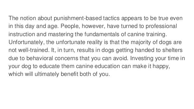 The notion about punishment-based tactics appears to be true even
in this day and age. People, however, have turned to professional
instruction and mastering the fundamentals of canine training.
Unfortunately, the unfortunate reality is that the majority of dogs are
not well-trained. It, in turn, results in dogs getting handed to shelters
due to behavioral concerns that you can avoid. Investing your time in
your dog to educate them canine education can make it happy,
which will ultimately benefit both of you.
 