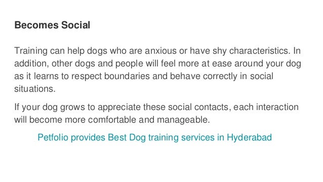 Becomes Social
Training can help dogs who are anxious or have shy characteristics. In
addition, other dogs and people will feel more at ease around your dog
as it learns to respect boundaries and behave correctly in social
situations.
If your dog grows to appreciate these social contacts, each interaction
will become more comfortable and manageable.
Petfolio provides Best Dog training services in Hyderabad
 