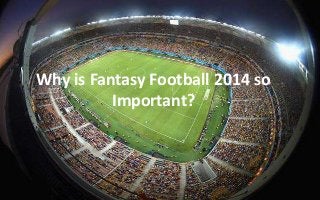 Why is Fantasy Football 2014 so 
Important? 
 