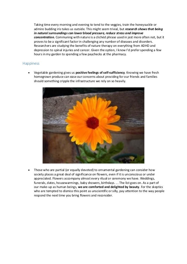 Why Is Gardening Important 