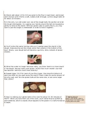 2. Slowly add about 1/2 to 3/4 cup water to the flour in each bowl, and knead
each mixture until it forms a soft, rubbery ball of dough. Let the dough balls sit
for about 10 minutes.
3. In the sink, run cold water over one of the dough balls. Be careful not to let
the dough disintegrate; try cupping your hands around the ball and squeezing
gently to remove the starch. With low-gluten cake or pastry flours, you may
want to put the dough in cheesecloth in order to hold it together.
4. You’ll notice the water turning milky as it washes away the starch in the
dough. Keep pouring out the cloudy water that collects in the bottom of the
bowl. Slowly, your dough ball will become a gummy, slimy network of gluten
strands.
5. When the water no longer becomes milky, you know there’s no more starch
in the dough, leaving nearly pure gluten. Notice how much smaller your ball
has become—and how much more stretchy!
6. Repeat steps 3 to 5 for each of your flour types. How does the texture of
each one differ as you wash away the starch? Does it take the same amount of
time for each one? Are the gluten balls all the same size, or are some larger
than others?
7. Now try baking your gluten balls in the oven for about 15–30 minutes at
450° F. When you take them out of the oven, you’ll notice they’ve puffed up
and hardened, which is exactly what happens to the gluten in a loaf of bread as
it bakes.
Did You Know?
Gluten is both plastic—able to
change shape—and elastic—able
to spring back into place.
 