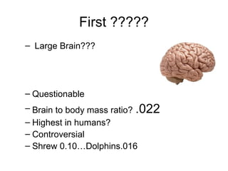 First ?????
– Large Brain???
– Questionable
– Brain to body mass ratio? .022
– Highest in humans?
– Controversial
– Shrew 0.10…Dolphins.016
 