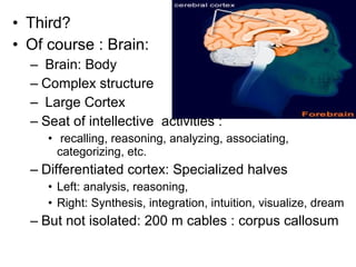 • Third?
• Of course : Brain:
– Brain: Body
– Complex structure
– Large Cortex
– Seat of intellective activities :
• recalling, reasoning, analyzing, associating,
categorizing, etc.
– Differentiated cortex: Specialized halves
• Left: analysis, reasoning,
• Right: Synthesis, integration, intuition, visualize, dream
– But not isolated: 200 m cables : corpus callosum
 