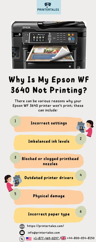 Outdated printer drivers
Incorrect settings
There can be various reasons why your
Epson WF 3640 printer won’t print; these
can include:
https://printertales.com/
Why Is My Epson WF
3640 Not Printing?
Imbalanced ink levels
Blocked or clogged printhead
nozzles
Physical damage
Incorrect paper type
1
2
3
4
5
6
info@printertales.com
+1-877-469-0297 / +44-800-054-8150
 