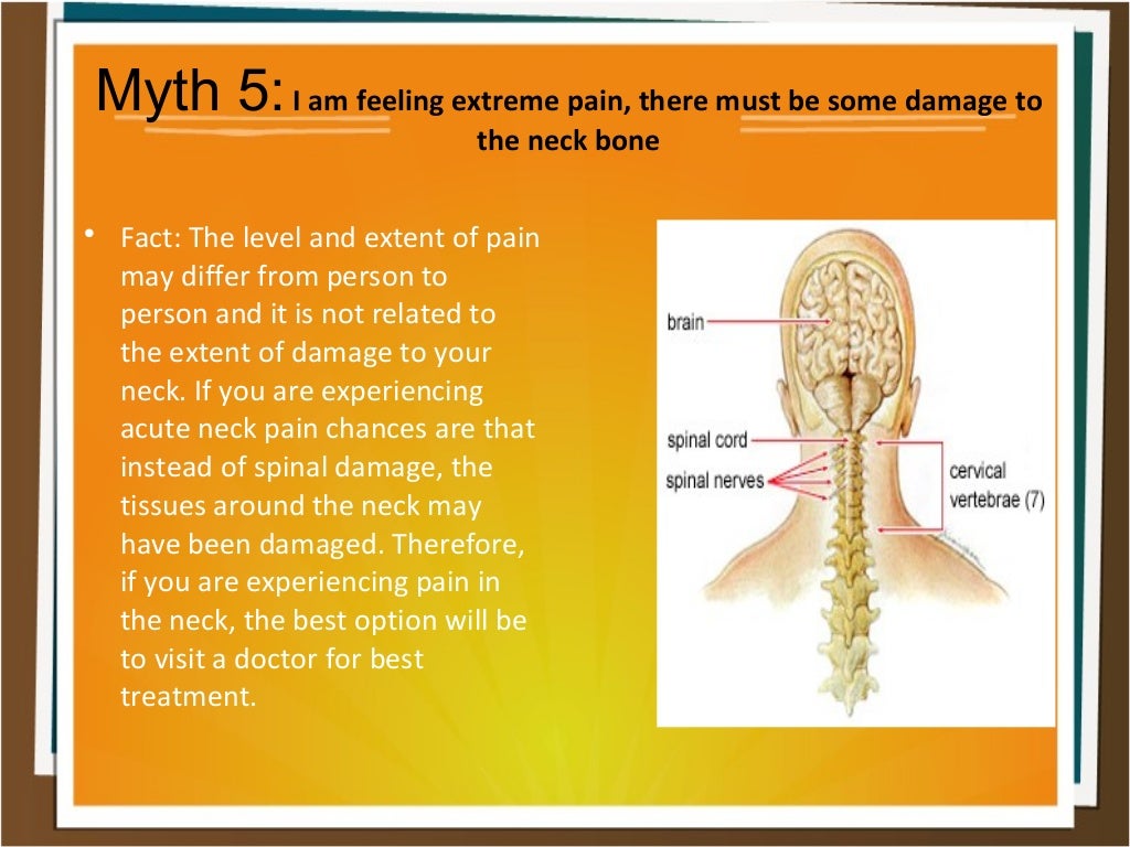 Why Is My Neck Hurting Some Myths Attached With Neck Pain