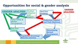 Why isn't gender just about impact?