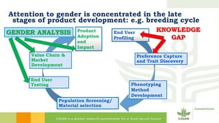 Why isn't gender just about impact?