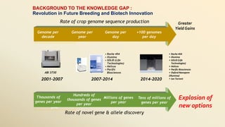 Why isn't gender just about impact?
