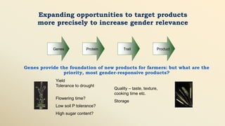 Why isn't gender just about impact?