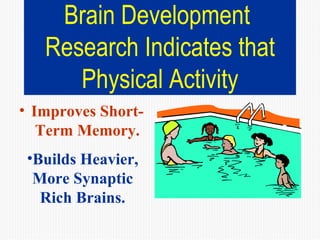 Brain Development  Research Indicates that Physical Activity Improves Short-Term Memory. Builds Heavier, More Synaptic Rich Brains. 