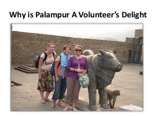 Why is Palampur A Volunteer’s Delight 
 