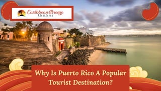 Why Is Puerto Rico A Popular
Tourist Destination?
 