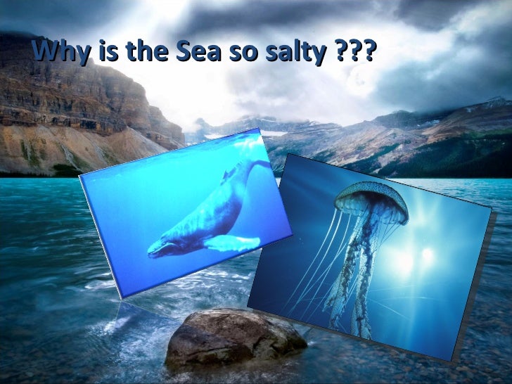 Why Is The Salty