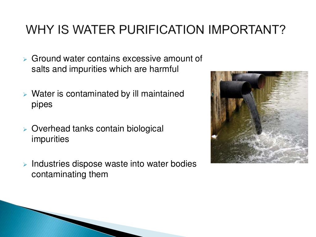 importance of water purification essay