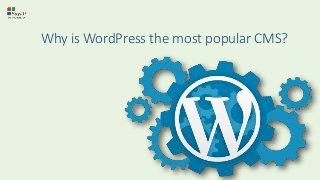 Why is WordPress the most popular CMS?
 