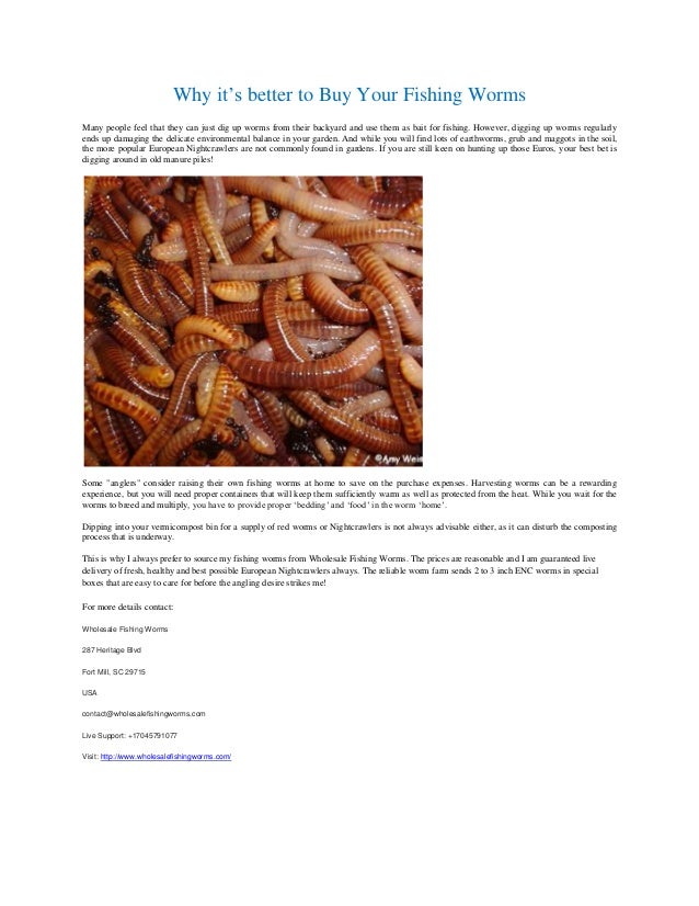 buy fishing worms near me