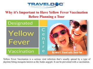 Why it's Important to Have Yellow Fever Vaccination
Before Planning a Tour
Yellow Fever Vaccination is a serious viral infection that’s usually spread by a type of
daytime biting mosquito known as the Aedes aegypti. It can be prevented with a vaccination.
 