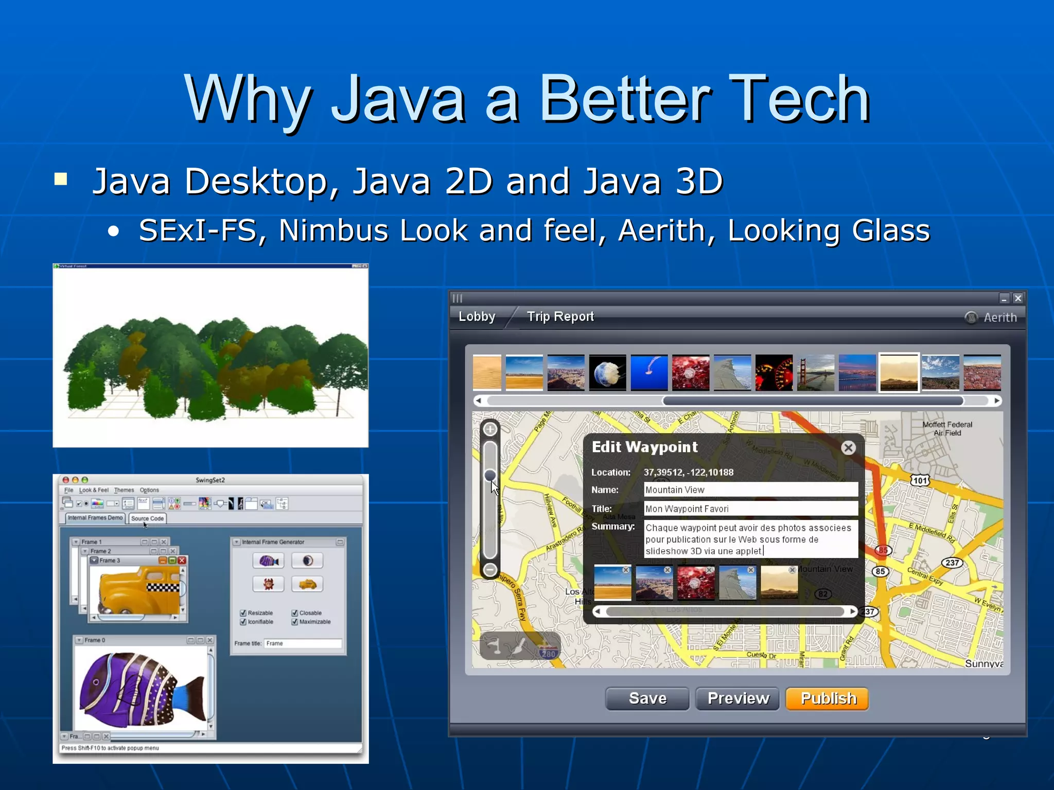 Why Java a Better Tech Java Desktop, Java 2D and Java 3D SExI-FS, Nimbus Look and feel, Aerith, Looking Glass 