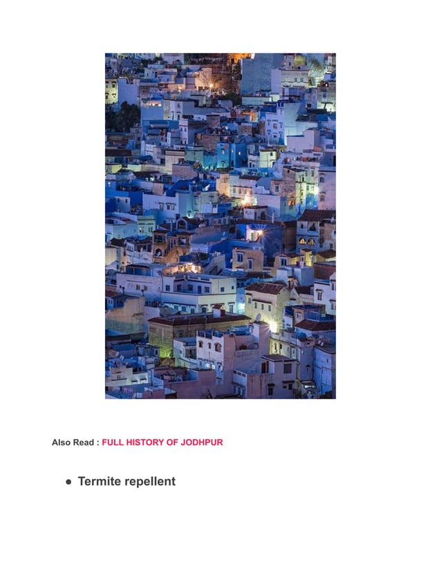 Why Jodhpur is called as India's Blue city _.pdf