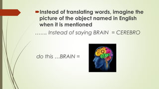 Instead of translating words, imagine the
picture of the object named in English
when it is mentioned
……. Instead of saying BRAIN = CEREBRO

do this …BRAIN =

 