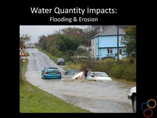 Water quality: the stormwater superhighway for non-point pollutants