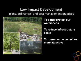   Metals (copper*, lead, zinc, cadmium, mercury)