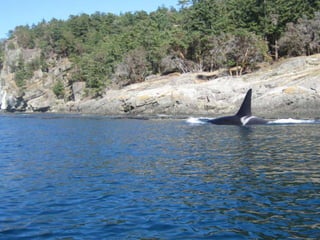 Where is your community in the watershed?