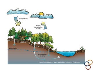 Puget Sound Action Team, WSU Pierce County Extension