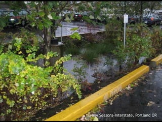 Slide: Chesapeake NEMO