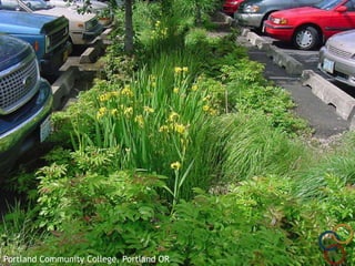 Slide: Chesapeake NEMO