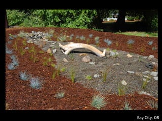 Slide: Chesapeake NEMO