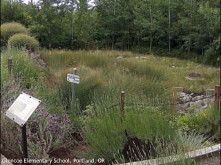 Pringle Creek Development in Salem